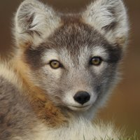 5 - Elisabeth Hardy-Lachance